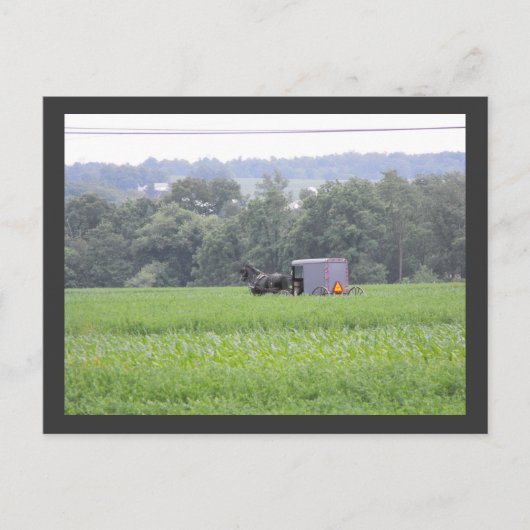 ランカスター郡の～夏～ 6 ポストカード (正面)