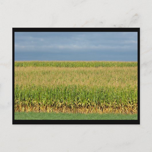 ランカスター郡の～夏～ 82 ポストカード (正面)