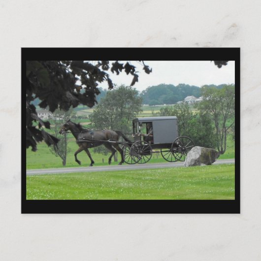 ランカスター郡の~ 71の~の夏 ポストカード (正面)