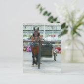 ランカスター馬 ポストカード (スタンド正面)