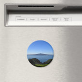 ランギトト磁石 マグネット (インサイチュ (食洗機))