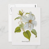 ランギノサ口唇炎 ポストカード (正面/裏面)