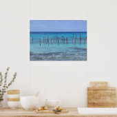 ランギロラグーン ポスター (キッチン)