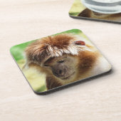 ラングモンキー コースター (左側)