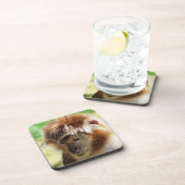 ラングモンキー コースター (右側)