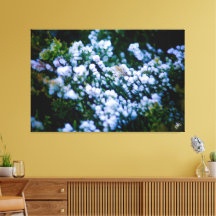 ラングリー水辺#11