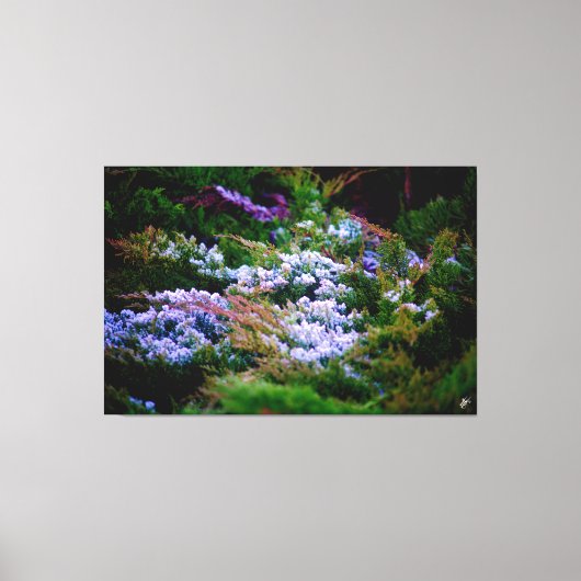 ラングリー水辺#5 キャンバスプリント (正面)