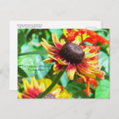 ラング・ド・フラール コーンフラワー ポストカード (正面/裏面)