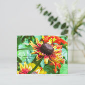 ラング・ド・フラール コーンフラワー ポストカード (スタンド正面)