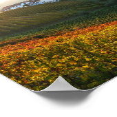 ランゲイタリアンヒルズポスター ポスター (角)