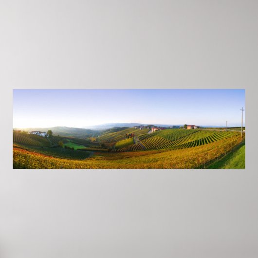 ランゲイタリアンヒルズポスター ポスター (正面)