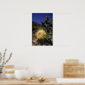 ランゲベルクWaboom Protea (Protea Nitidia) ポスター (キッチン)