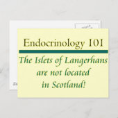 ランゲルハンス島 ポストカード (正面/裏面)