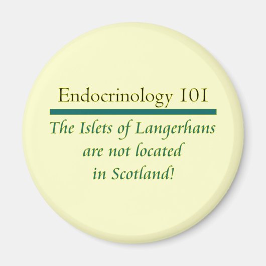 ランゲルハンス島 マグネット (正面)