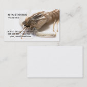 ランゴスチン 名刺 (正面/裏面)