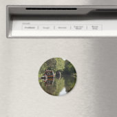 ランゴレン運河マグネット マグネット (インサイチュ (食洗機))