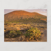 ランサローテ島の火山畑とサンセット時のカルデラ ポストカード (正面)