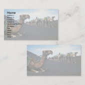 ランザロテ·ラクダ 名刺 (正面/裏面)