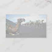 ランザロテ·ラクダ 名刺 (裏面)