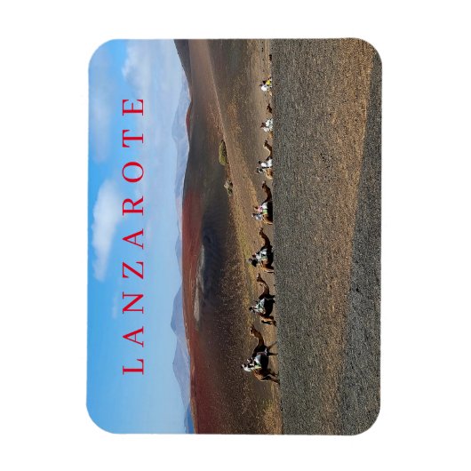 ランザロートラクエルズビュー冷蔵庫用マグネット マグネット (縦)