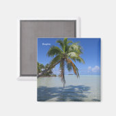 ランジロアパームツリー マグネット (正面/裏面)