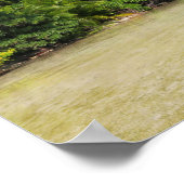 ランジロアパーム ポスター (角)