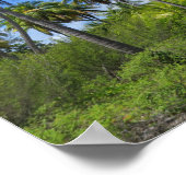 ランジロアパーム ポスター (角)