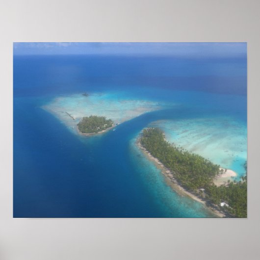 ランジロアポリネフランスのシア ポスター (正面)