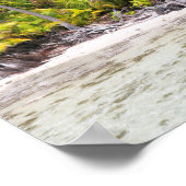 ランジロアヤシの木 ポスター (角)