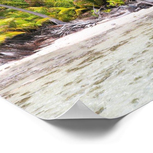 ランジロアヤシの木 ポスター (角)