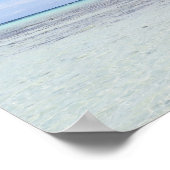 ランジロアヤシの木 ポスター (角)