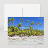 ランジロアヤシの木 ポストカード (正面/裏面)