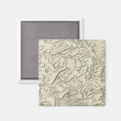 ランス マグネット (正面/裏面)