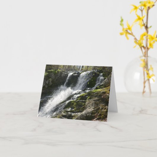 ランズ走秋 カード (黄色い花)