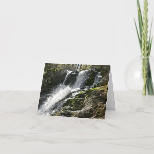 ランズ走秋 カード (正面)