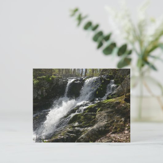 ランズ走秋 ポストカード (スタンド正面)