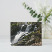 ランズ走秋 ポストカード (スタンド正面)