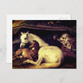 ランセアザアラブテントウーズ 案内ポストカード (正面/裏面)