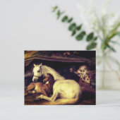 ランセアザアラブテントウーズ 案内ポストカード (スタンド正面)