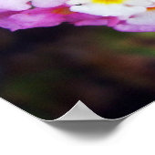 ランタナ ポスター (角)