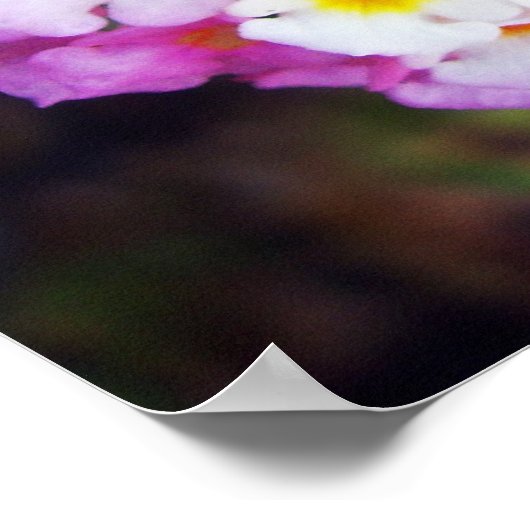 ランタナ ポスター (角)