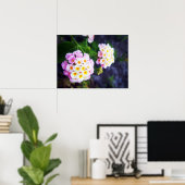 ランタナ ポスター (ホームオフィス)