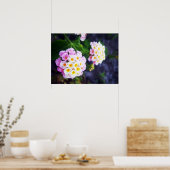 ランタナ ポスター (キッチン)