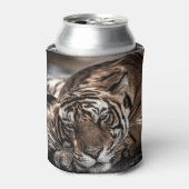ランタムボアタイガー:クローズアップ素晴らしアート。 缶クーラー (缶正面)