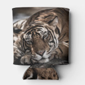 ランタムボアタイガー:クローズアップ素晴らしアート。 缶クーラー (裏面)