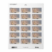 ランタンエレガント金ゴールドトナディアホリデーラベル ラベル (フルシート)