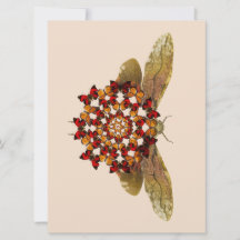 ランタンフライとバタフライマンダラ