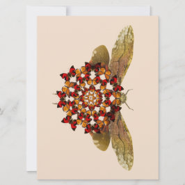 ランタンフライとバタフライマンダラ 案内状