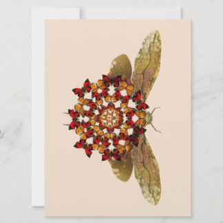 ランタンフライとバタフライマンダラ 案内状