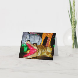 ランタン中国のアートワニのノートカード ノートカード